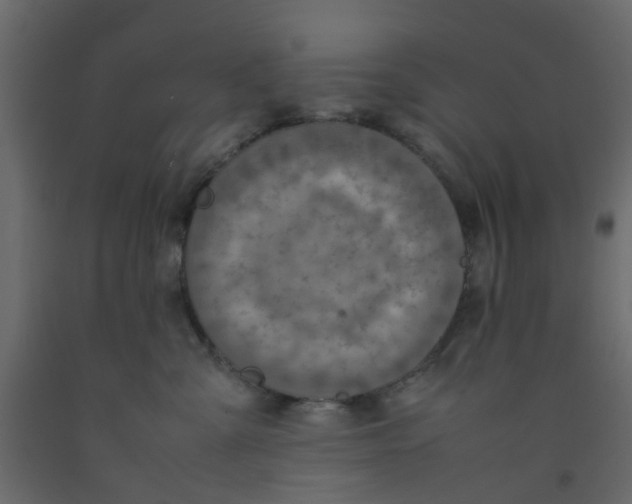 X0000092100427200710101126