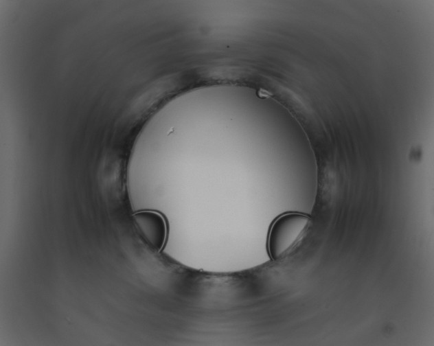 X0000092100428200710101126