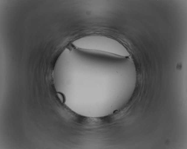 X0000092100429200710101126