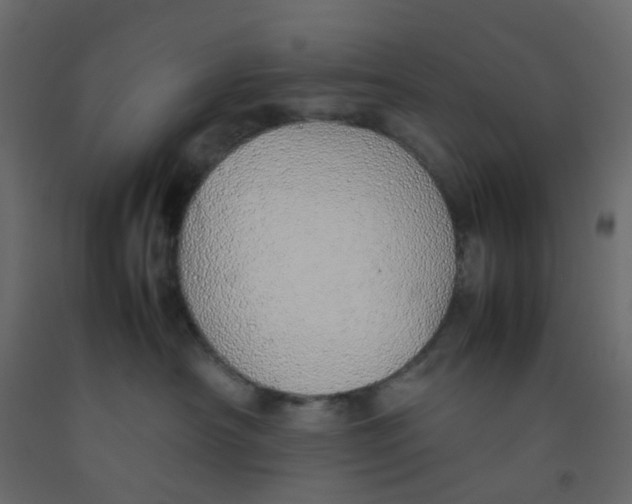 X0000092100430200710101126