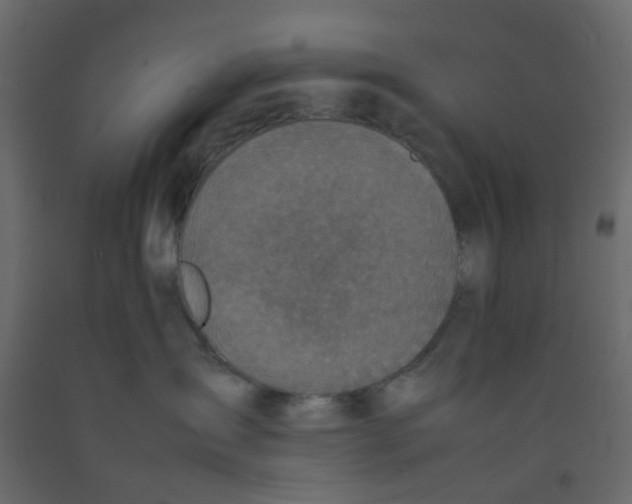 X0000092100431200710101126