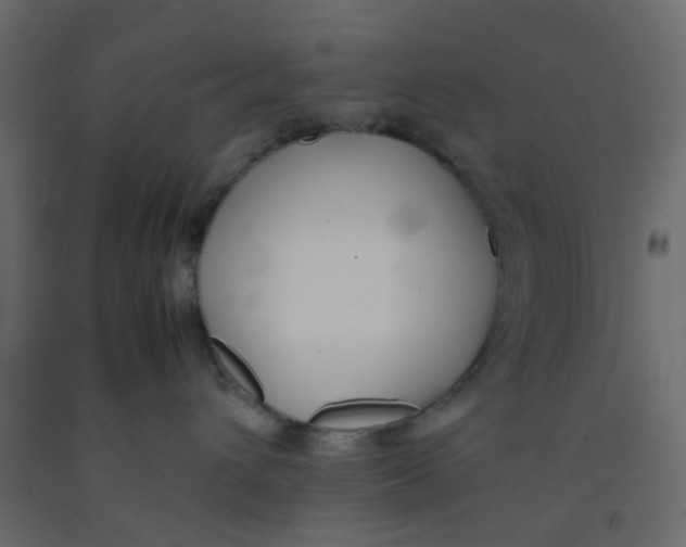 X0000092100432200710101126