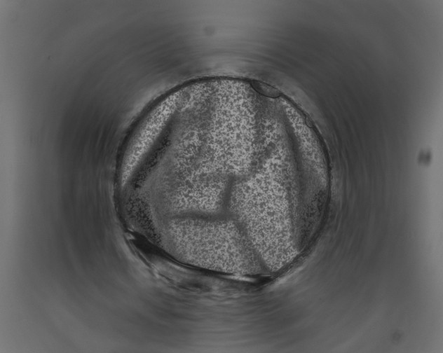 X0000092100434200710101125