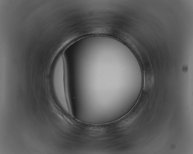 X0000092100435200710101125