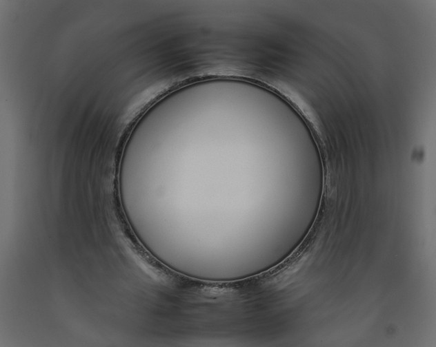 X0000092100437200710101125