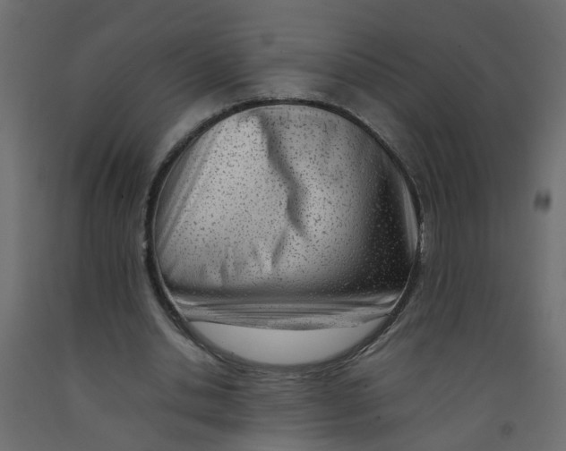 X0000092100438200710101125