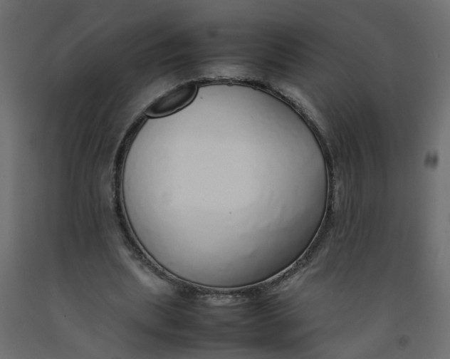 X0000092100439200710101125