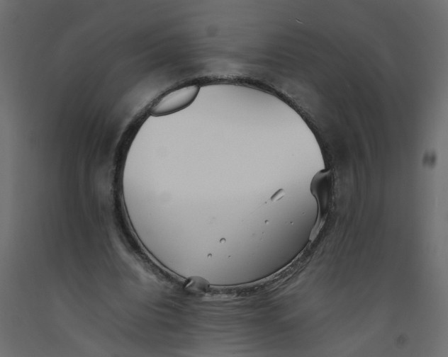 X0000092100440200710101125