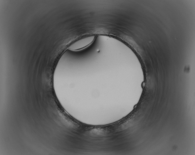 X0000092100441200710101125