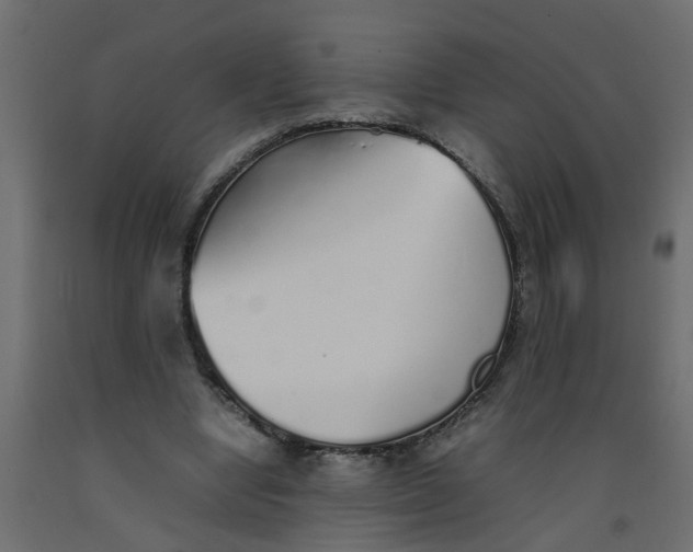 X0000092100442200710101125