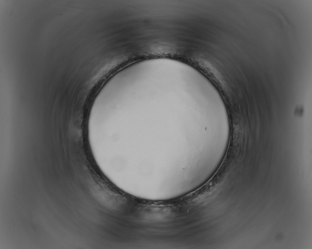 X0000092100443200710101125