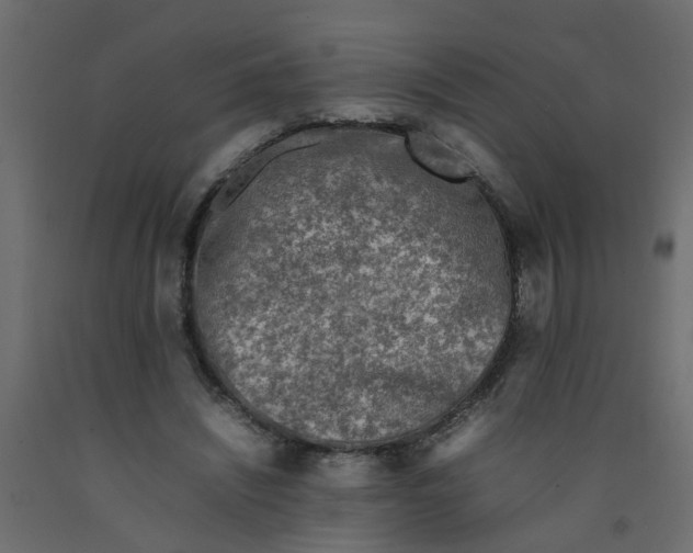 X0000092100444200710101125