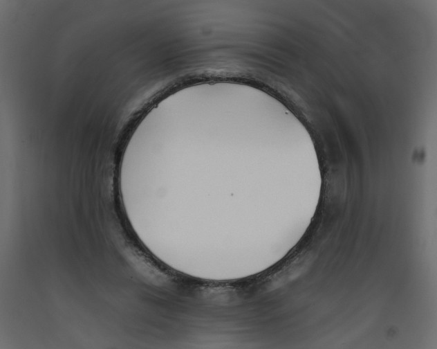 X0000092100446200710101125