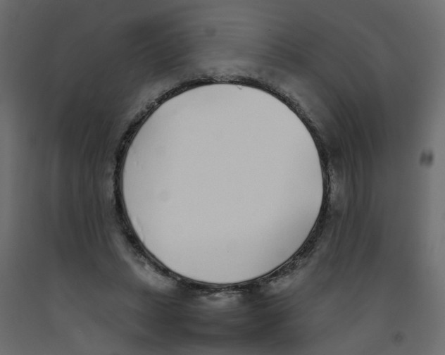 X0000092100447200710101125