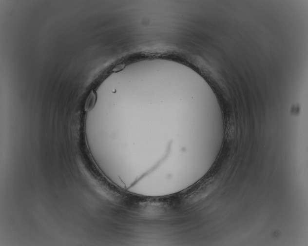 X0000092100448200710101125