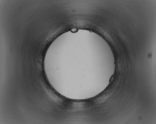 X0000092100450200710101125