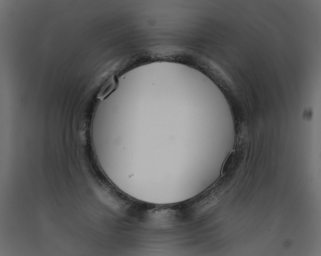 X0000092100452200710101125