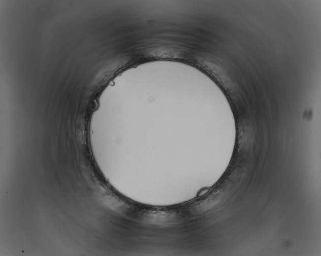 X0000092100453200710101125