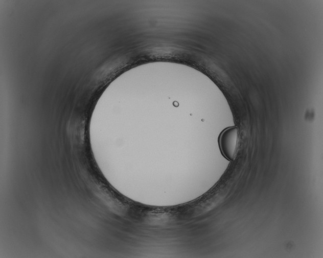 X0000092100454200710101125