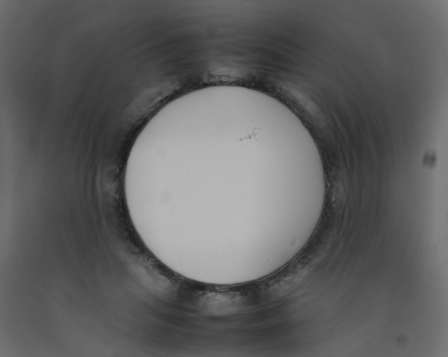 X0000092100455200710101125