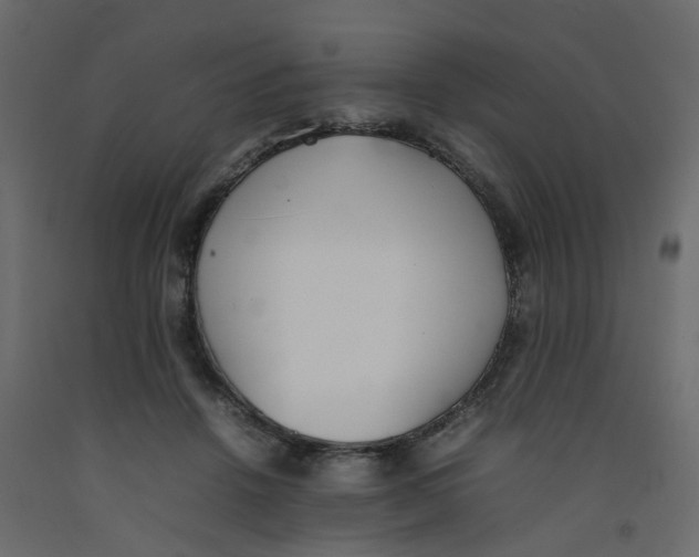 X0000092100456200710101125