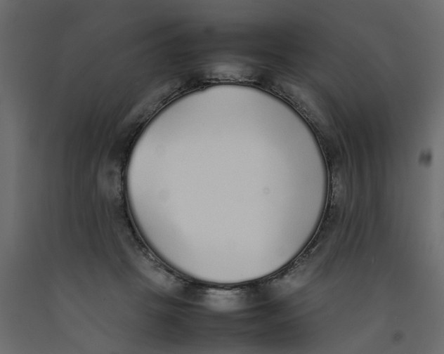 X0000092100457200710101125