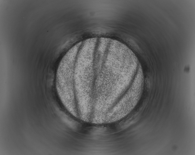 X0000092100458200710101125