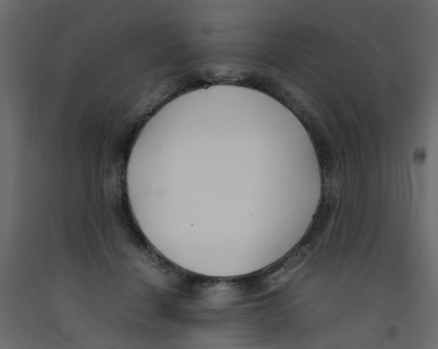 X0000092100460200710101125