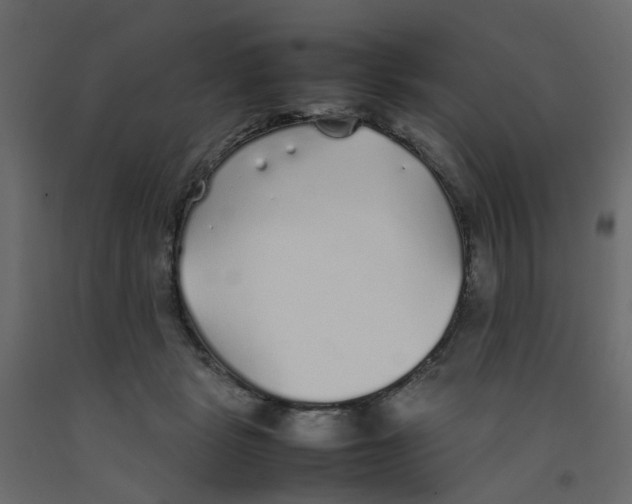 X0000092100461200710101125