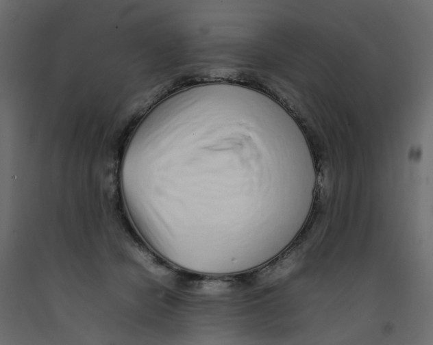 X0000092100462200710101125