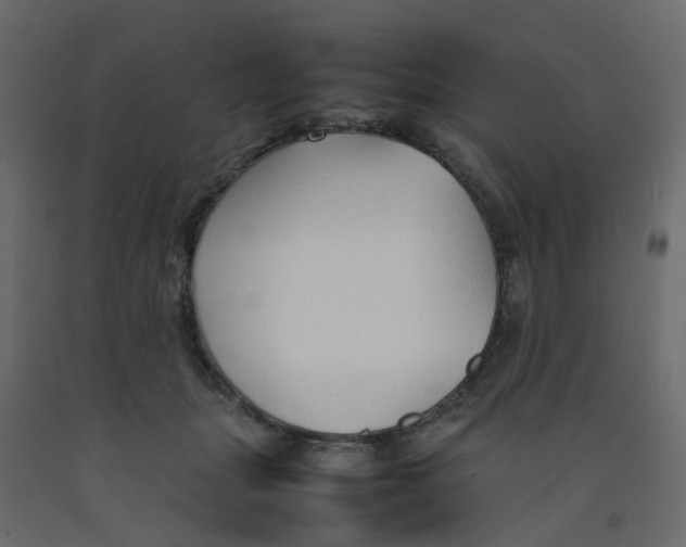 X0000092100463200710101125