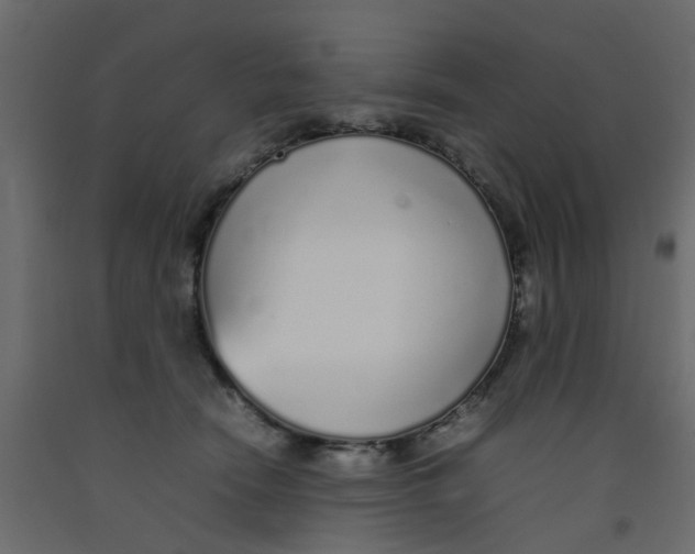 X0000092100466200710101125