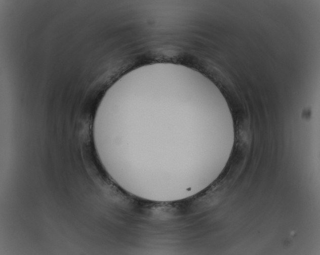 X0000092100468200710101125