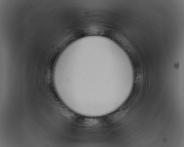 X0000092100469200710101125