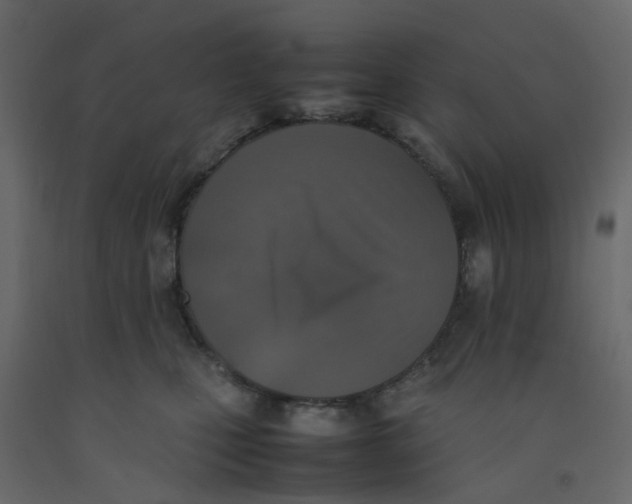 X0000092100471200710101126