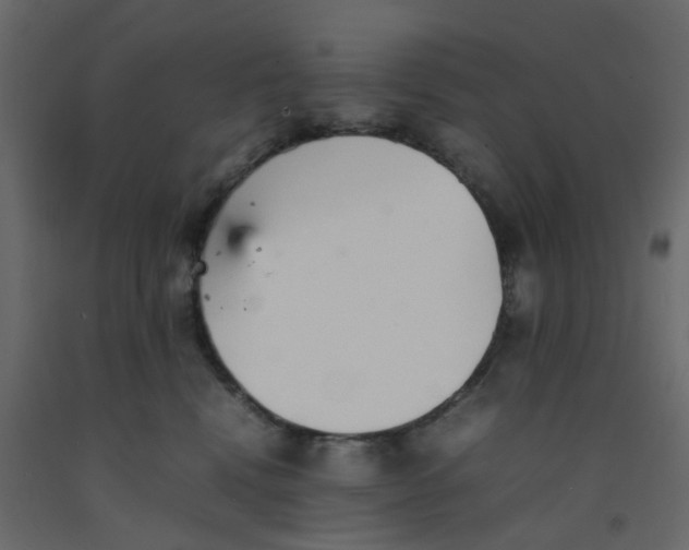 X0000092100472200710101126