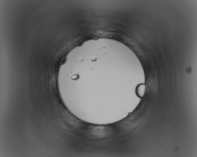 X0000092100473200710101126