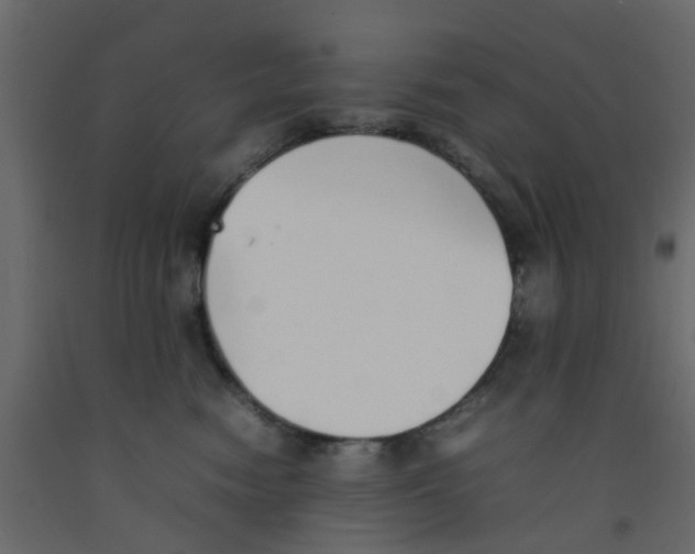 X0000092100474200710101126