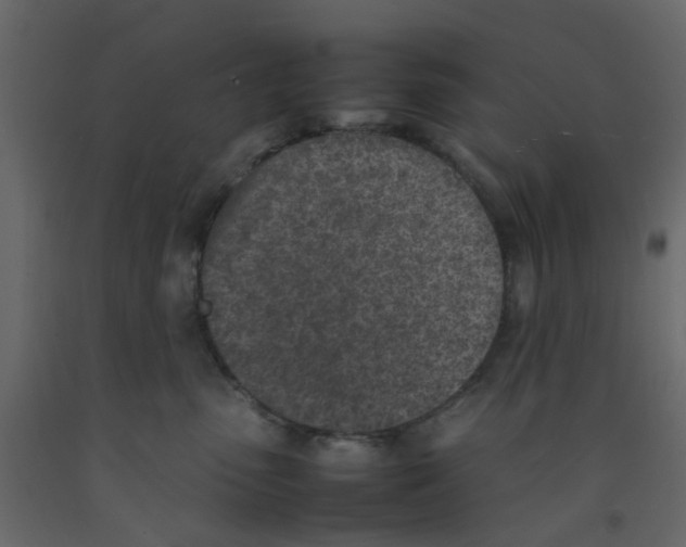 X0000092100475200710101126