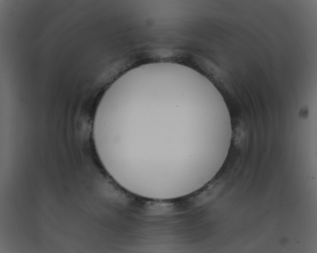 X0000092100476200710101126