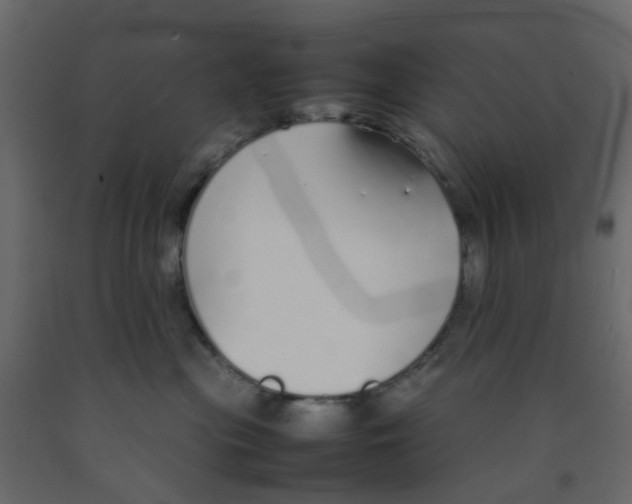 X0000092100477200710101126