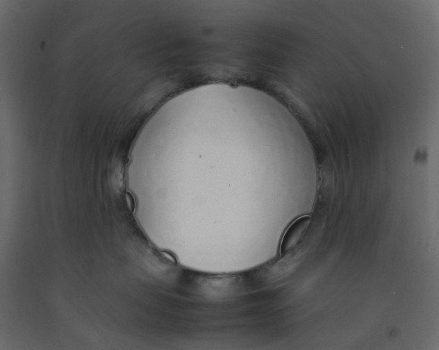 X0000092100479200710101126