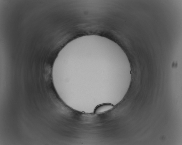 X0000092100480200710101126