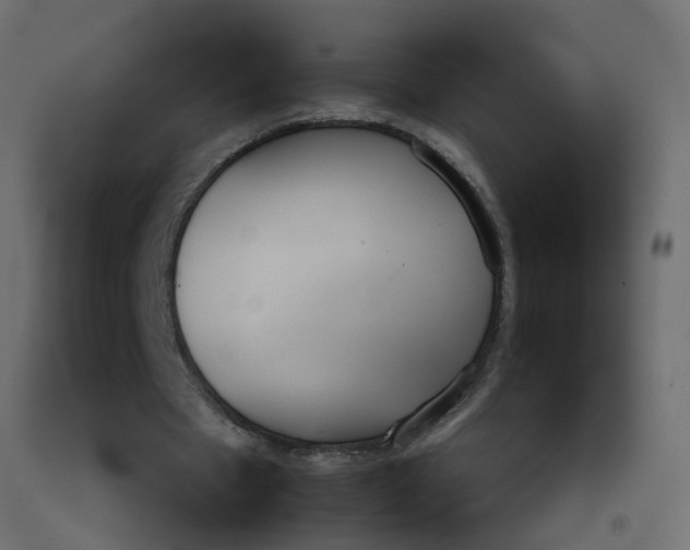 X0000092100481200710101125