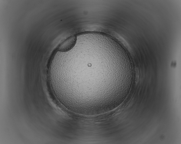 X0000092100482200710101125