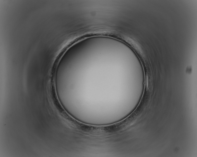 X0000092100483200710101125