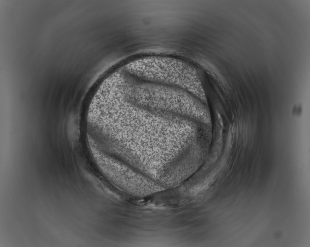 X0000092100484200710101125