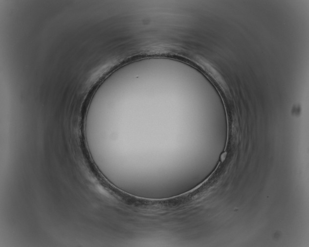 X0000092100485200710101125