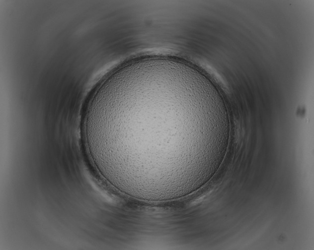 X0000092100486200710101125