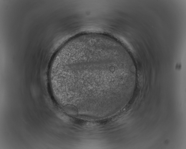 X0000092100487200710101125